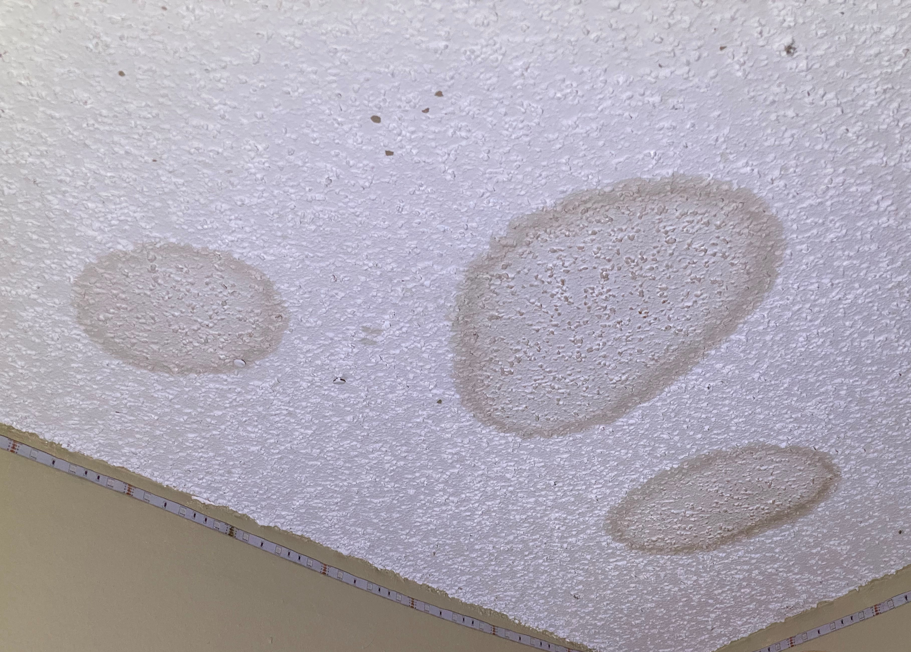Roof Leaks